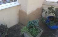 Damp Proof Company Bristol