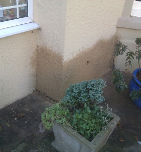 Damp Proof Company Bristol